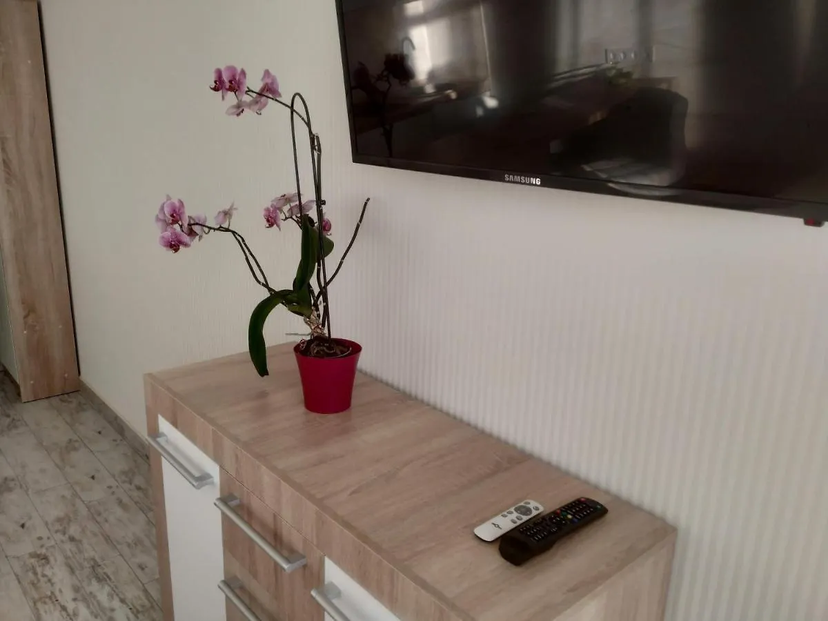 Apartment Kiev Studio With City View