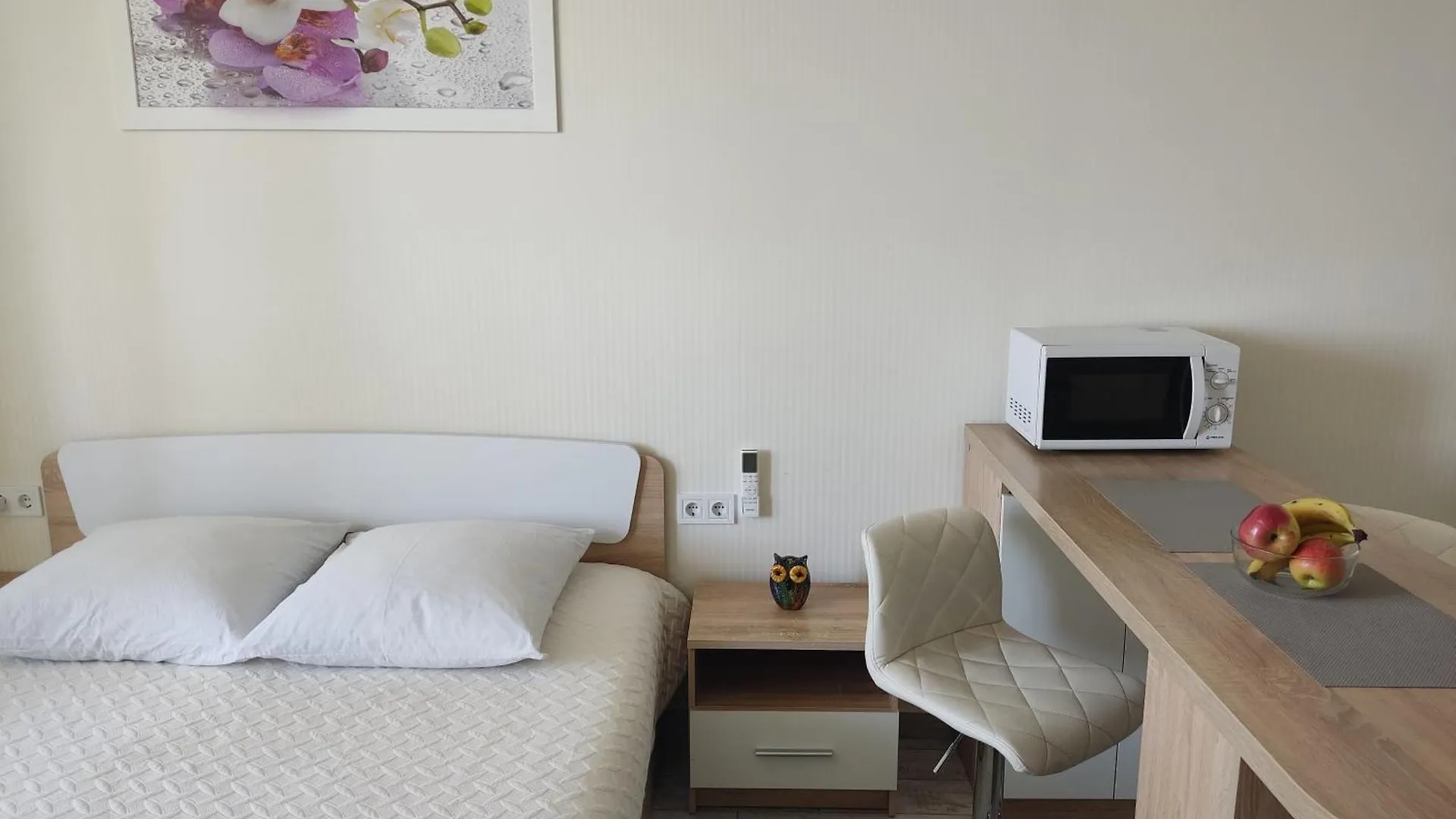 Apartment Kiev Studio With City View