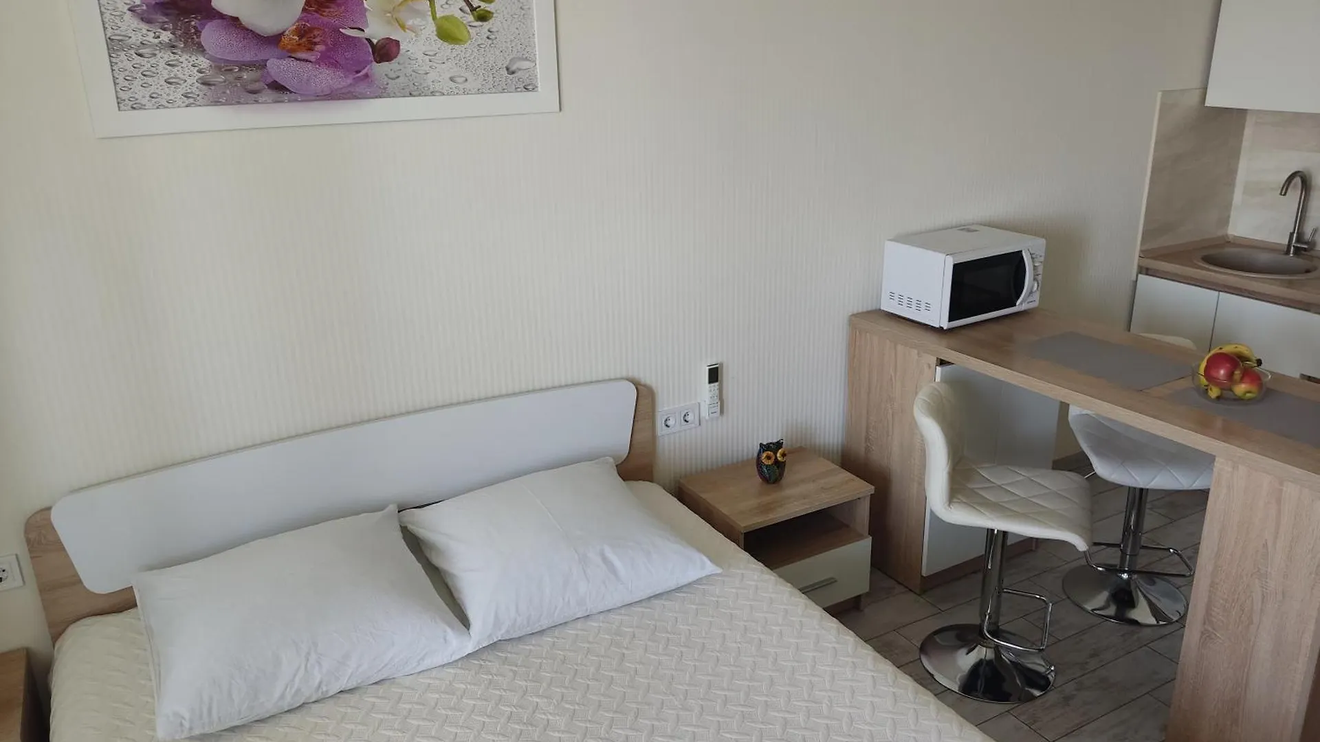 Apartment Kiev Studio With City View Украина